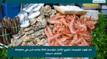 «لا تفوت الفرصة» نتائج الثالث متوسط 2025 متاحة الآن على Ntaejna اكتشف اسمك